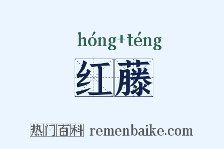 红藤是什么意思的图片